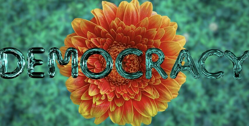 The word DEMOCRACY spelled out in metallic green capital letters across a yellow and orange flower.